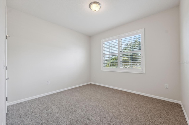 13614 Hunting Creek Pl, Spring Hill, FL 34609 - photo 22
