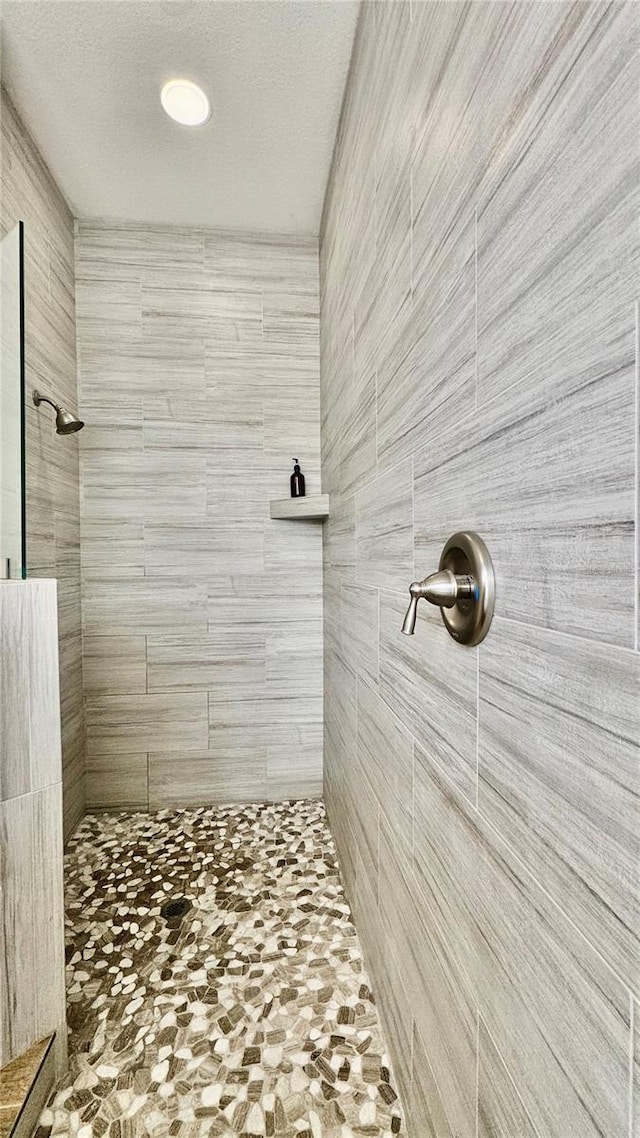 27312 Edenfield Dr, Wesley Chapel, FL 33544 - bathroom featuring tiled shower
