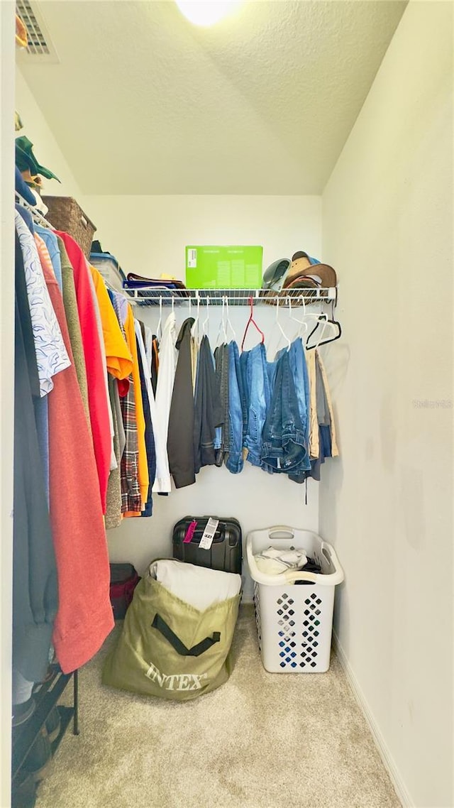 27312 Edenfield Dr, Wesley Chapel, FL 33544 - walk in closet featuring carpet