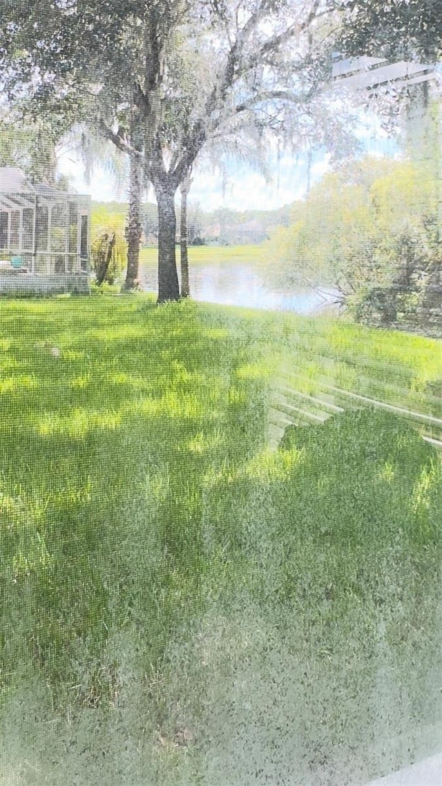 27312 Edenfield Dr, Wesley Chapel, FL 33544 - view of yard featuring a water view