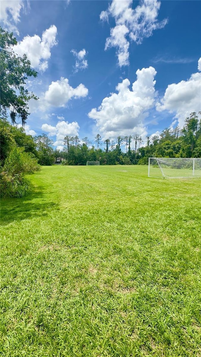 27312 Edenfield Dr, Wesley Chapel, FL 33544 - view of yard featuring a sport area
