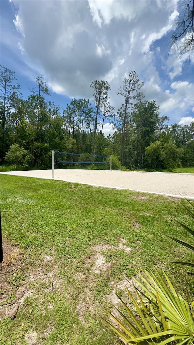 27312 Edenfield Dr, Wesley Chapel, FL 33544 - view of grassy yard featuring volleyball court