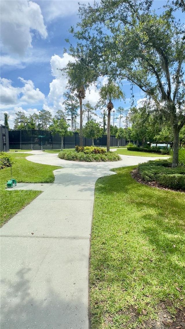 27312 Edenfield Dr, Wesley Chapel, FL 33544 - view of home's community