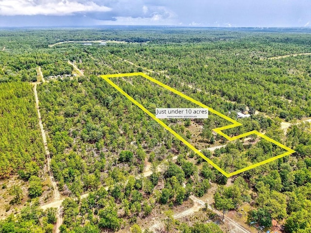 3011 Main St, Hawthorne, FL 32640 - photo 2