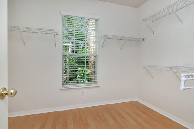 16115 Colchester Palms Dr, Tampa, FL 33647 - photo 24