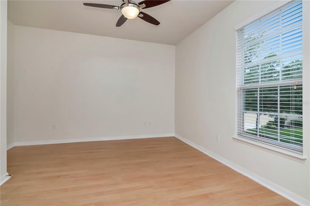 16115 Colchester Palms Dr, Tampa, FL 33647 - photo 26