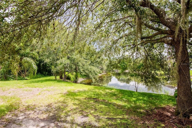 16115 Colchester Palms Dr, Tampa, FL 33647 - photo 34