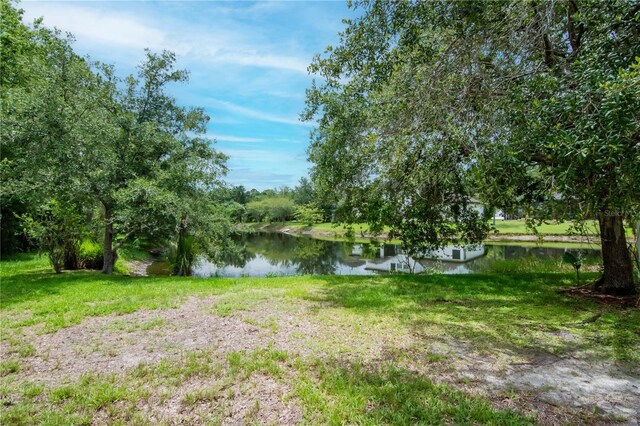 16115 Colchester Palms Dr, Tampa, FL 33647 - photo 40