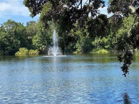 2716 11th Ct, Palm Harbor, FL 34684 - photo 45