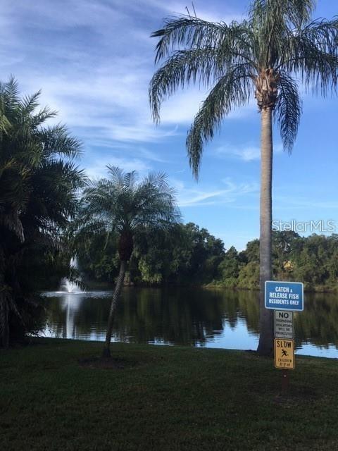 2716 11th Ct, Palm Harbor, FL 34684 - photo 53