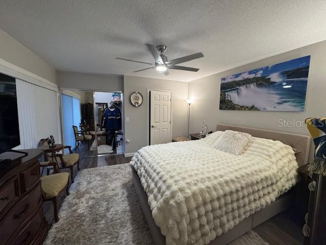 2716 11th Ct, Palm Harbor, FL 34684 - photo 19