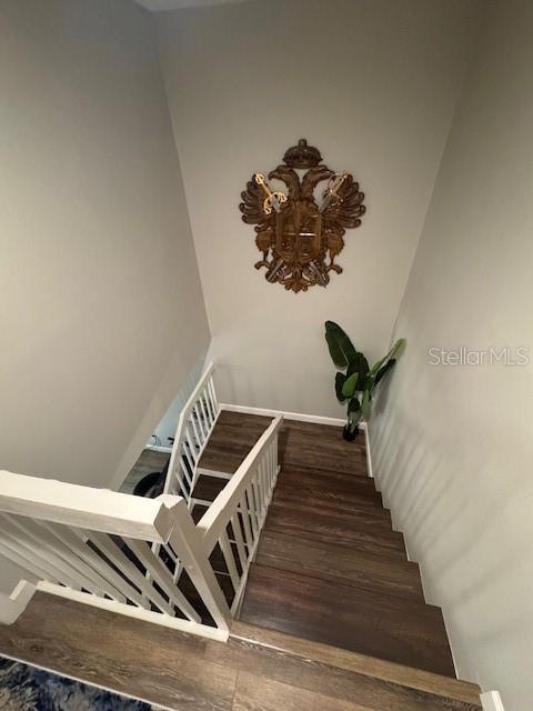 2716 11th Ct, Palm Harbor, FL 34684 - photo 36