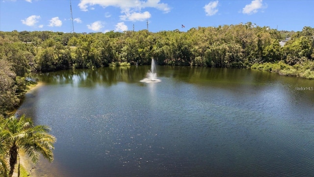 2716 11th Ct, Palm Harbor, FL 34684 - photo 46