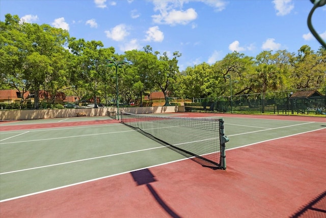 2716 11th Ct, Palm Harbor, FL 34684 - photo 50