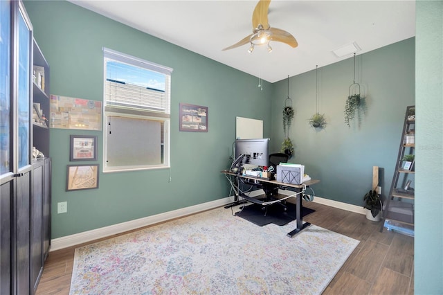 31241 Kirkshire Ct, Wesley Chapel, FL 33543 - photo 13