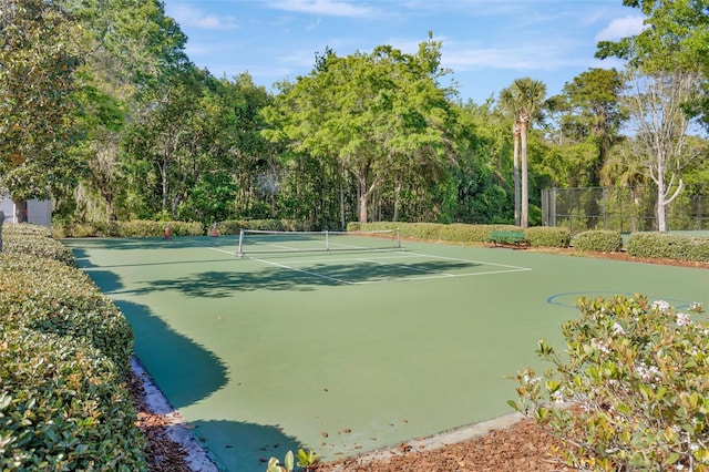 31241 Kirkshire Ct, Wesley Chapel, FL 33543 - photo 23