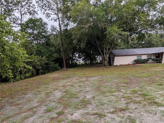 11308 Echo View Dr, Odessa, FL 33556 - view of yard