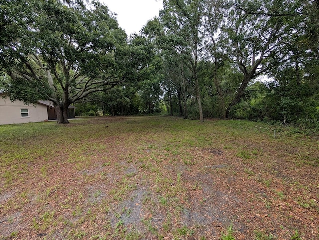 11308 Echo View Dr, Odessa, FL 33556 - view of yard