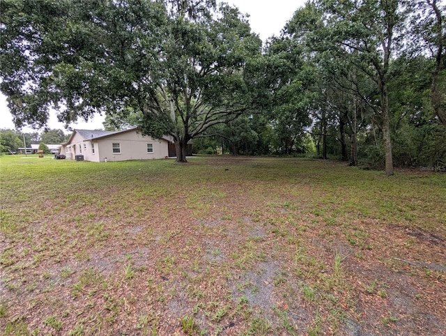 11308 Echo View Dr, Odessa, FL 33556 - view of grassy yard