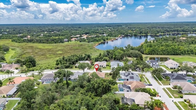 1216 Fox Chapel Dr, Lutz, FL 33549 - aerial view of residential area featuring a large body of water and a forest