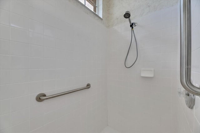 1216 Fox Chapel Dr, Lutz, FL 33549 - full bath with a tile shower