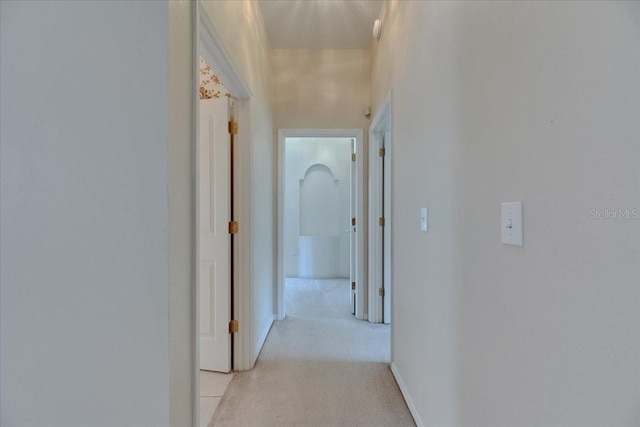 1216 Fox Chapel Dr, Lutz, FL 33549 - hall featuring light colored carpet and baseboards