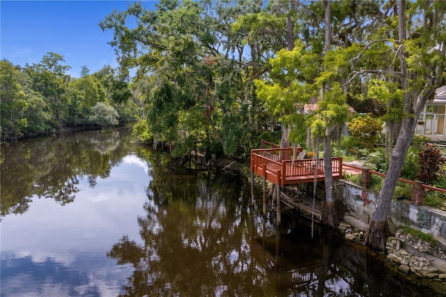 11923 Riverhills Dr, Temple Terrace, FL 33617 - photo 4
