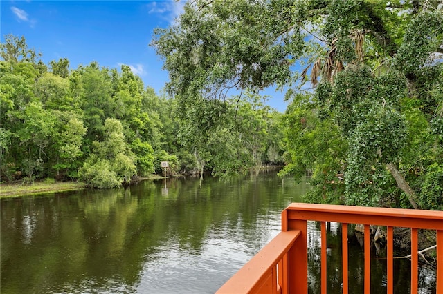11923 Riverhills Dr, Temple Terrace, FL 33617 - photo 47