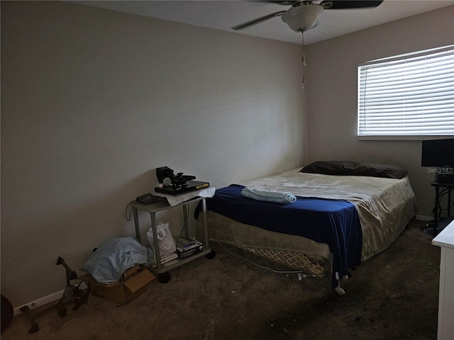 5105 Tulip St N Unit 15, Pinellas Park, FL 33782 - photo 14