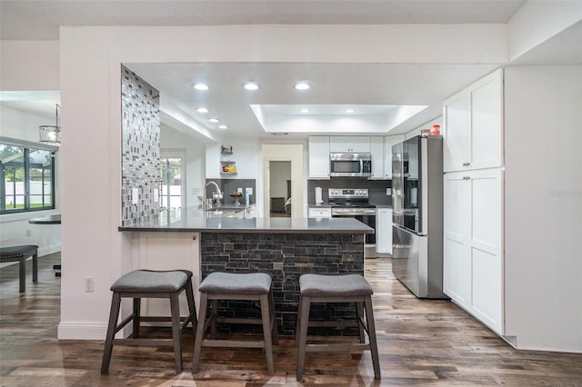 2701 Herndon St, Valrico, FL 33596 - kitchen featuring appliances with stainless steel finishes, a tray ceiling, dark wood-style floors, a peninsula, and a kitchen bar