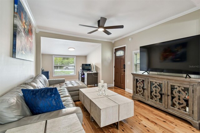 1722 Albemarle Rd, Clearwater, FL 33764 - living area with a ceiling fan, wood-type flooring, and crown molding