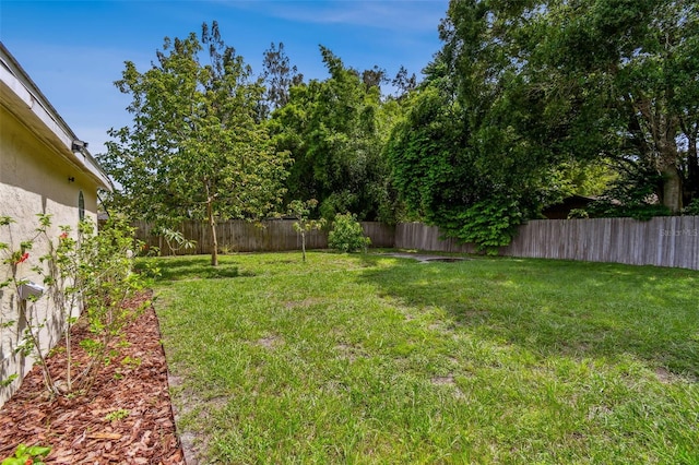 1722 Albemarle Rd, Clearwater, FL 33764 - view of fenced backyard