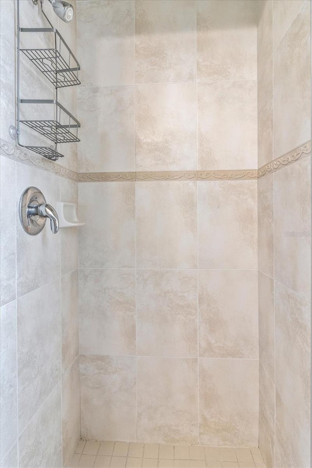 2900 W Lantana Dr, Beverly Hills, FL 34465 - bathroom featuring a tile shower