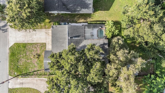8710 N Pawnee Ave, Tampa, FL 33617 - photo 3