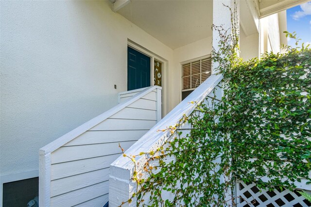 5207 Bayshore Blvd Unit 16, Tampa, FL 33611 - photo 4