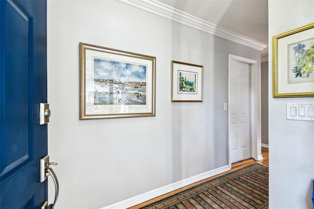 5207 Bayshore Blvd Unit 16, Tampa, FL 33611 - photo 5