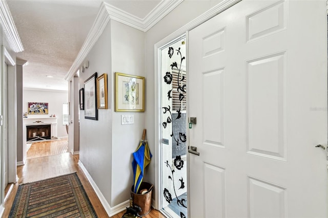 5207 Bayshore Blvd Unit 16, Tampa, FL 33611 - photo 7