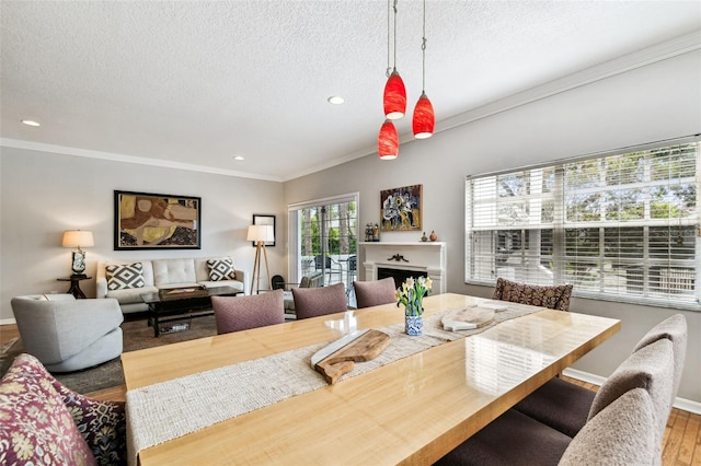 5207 Bayshore Blvd Unit 16, Tampa, FL 33611 - photo 16