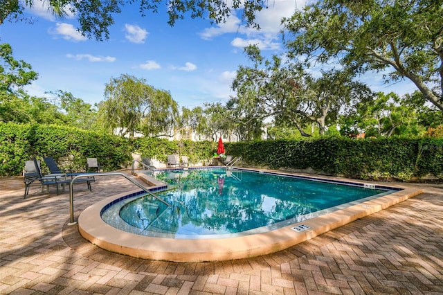 5207 Bayshore Blvd Unit 16, Tampa, FL 33611 - photo 45