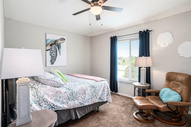 4738 Bloom Dr, Plant City, FL 33566 - photo 15