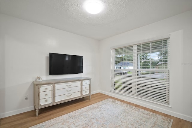 22238 River Rock Dr, Land O Lakes, FL 34639 - living room with wood finished floors and a textured ceiling