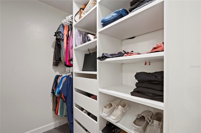 22238 River Rock Dr, Land O Lakes, FL 34639 - view of spacious closet
