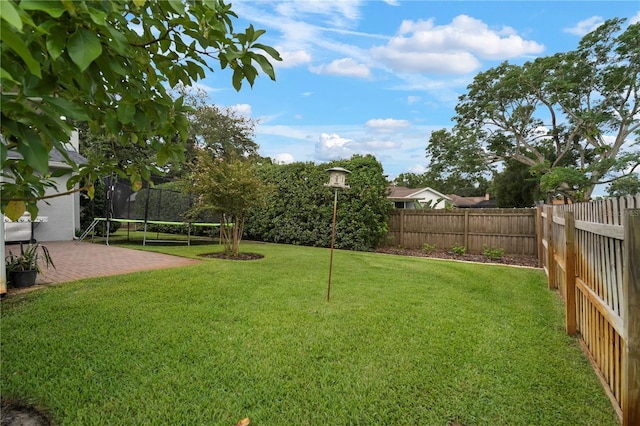 22238 River Rock Dr, Land O Lakes, FL 34639 - fenced backyard with a trampoline and a patio area