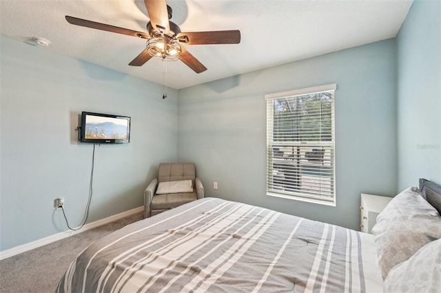 5240 Fiddle Fig Ave, Wimauma, FL 33598 - photo 14