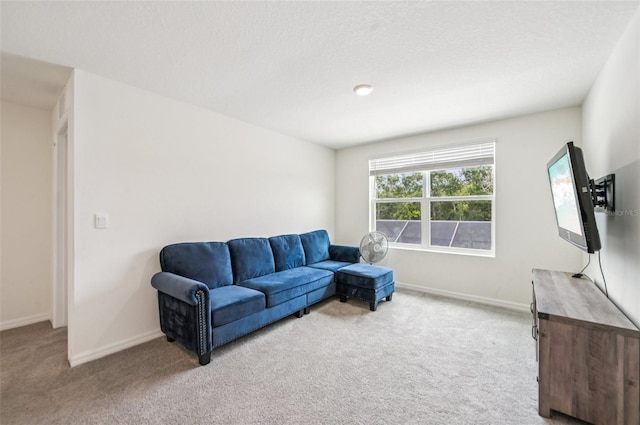 5240 Fiddle Fig Ave, Wimauma, FL 33598 - photo 23