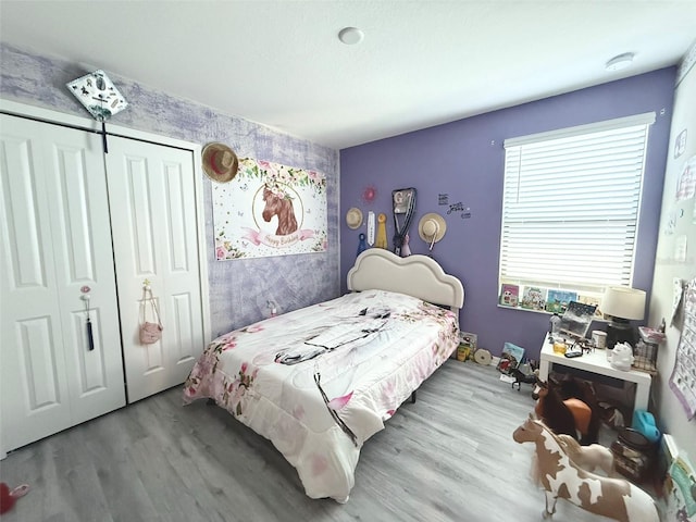 10221 Carloway Hills Dr, Wimauma, FL 33598 - bedroom with wood finished floors and a closet