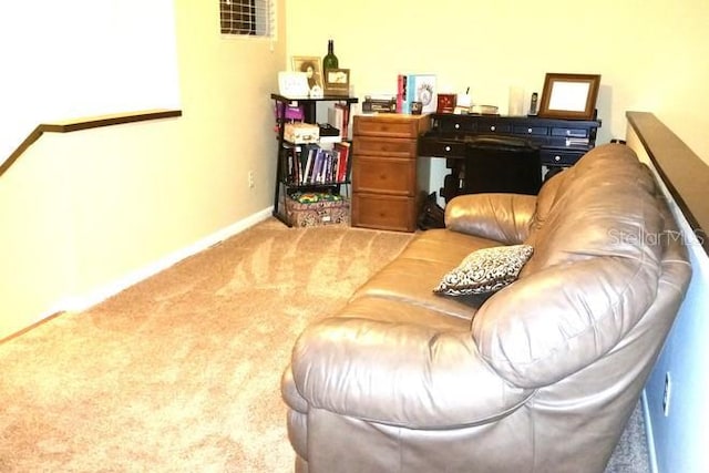 4811 Puritan Cir Unit 4811, Tampa, FL 33617 - photo 15