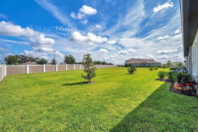 31530 Magna Gulf Loop, San Antonio, FL 33576 - view of yard