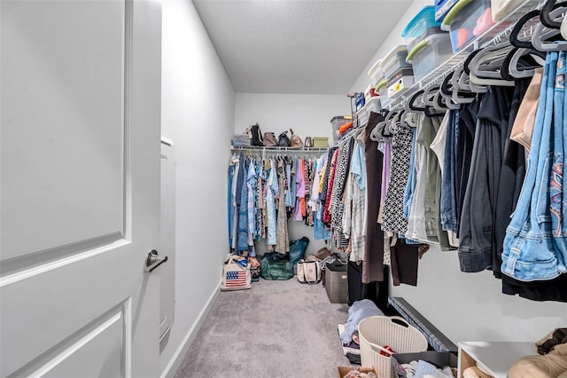31530 Magna Gulf Loop, San Antonio, FL 33576 - walk in closet with carpet flooring