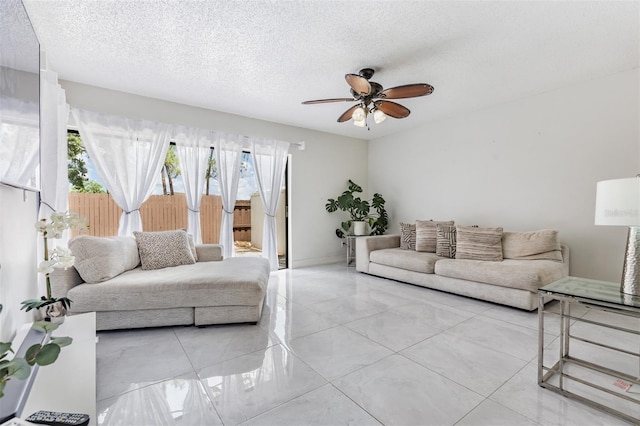 10520 Winrock Pl, Tampa, FL 33624 - photo 4